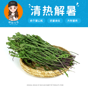 娜姐与兔 25年烘干蒲公英兔子干草调理肠胃消化保健 清热解暑