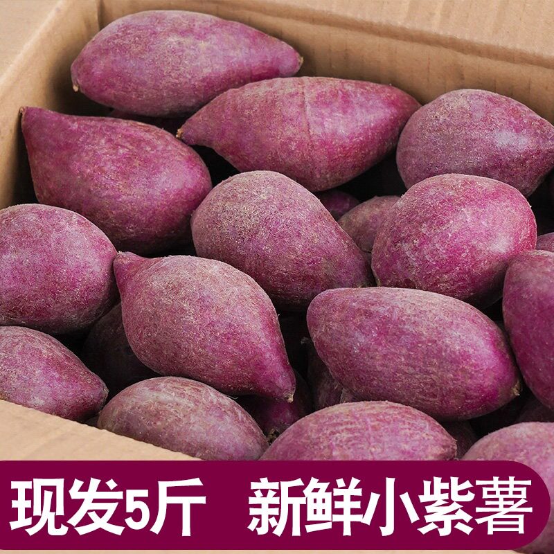 越南小紫薯珍珠板栗迷你紫薯减脂新鲜蔬菜红紫色糖心红薯整箱5斤