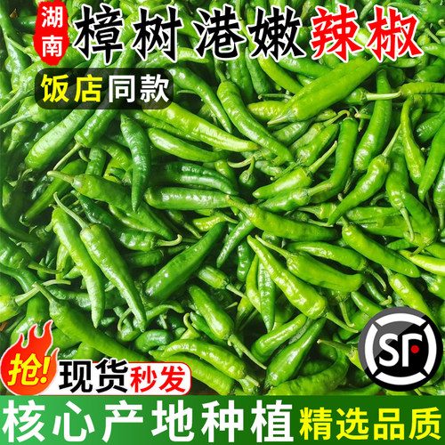精品正宗湖南樟树港小辣椒现摘新鲜薄皮嫩青椒农家特产自种下饭菜
