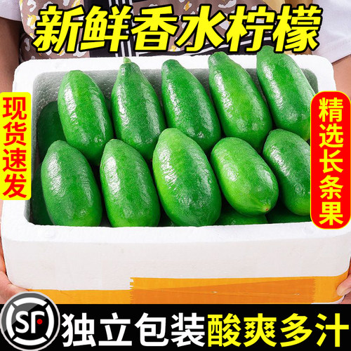 广东香水柠檬新鲜一级当季水果正宗海南无籽青柠檬奶茶店专用9斤