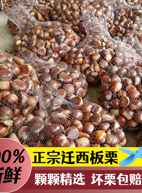 2025年新栗正宗迁西板栗河北板栗生新鲜栗子大油栗燕山甜板粟5斤