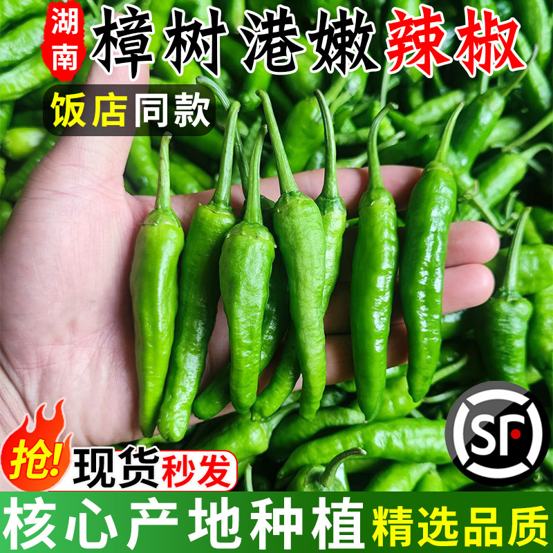 正宗湖南樟树港小辣椒9斤新鲜青辣椒现摘农家薄皮嫩青椒顺丰包邮5