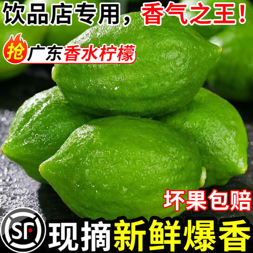 广东香水柠檬新鲜青柠檬一级果应当季水果奶茶店专用包邮整箱