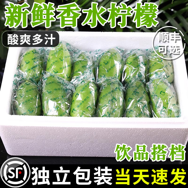广东香水柠檬新鲜一级应当季水果正宗海南无籽青柠檬奶茶店专用10