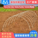 大棚支架拱杆温室骨架菜棚种菜小拱棚育苗新型实心玻璃纤维杆农用