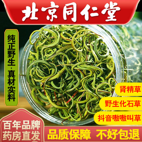 野生化石草肾精茶黄金草嗷嗷叫草