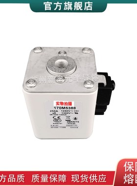 170M5312 5313 5314 5315 5316 巴斯曼bussmann快速熔断器保险丝