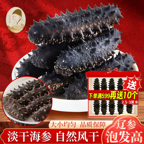海参大连淡干海参干货辽刺参泡发率高非即食海参