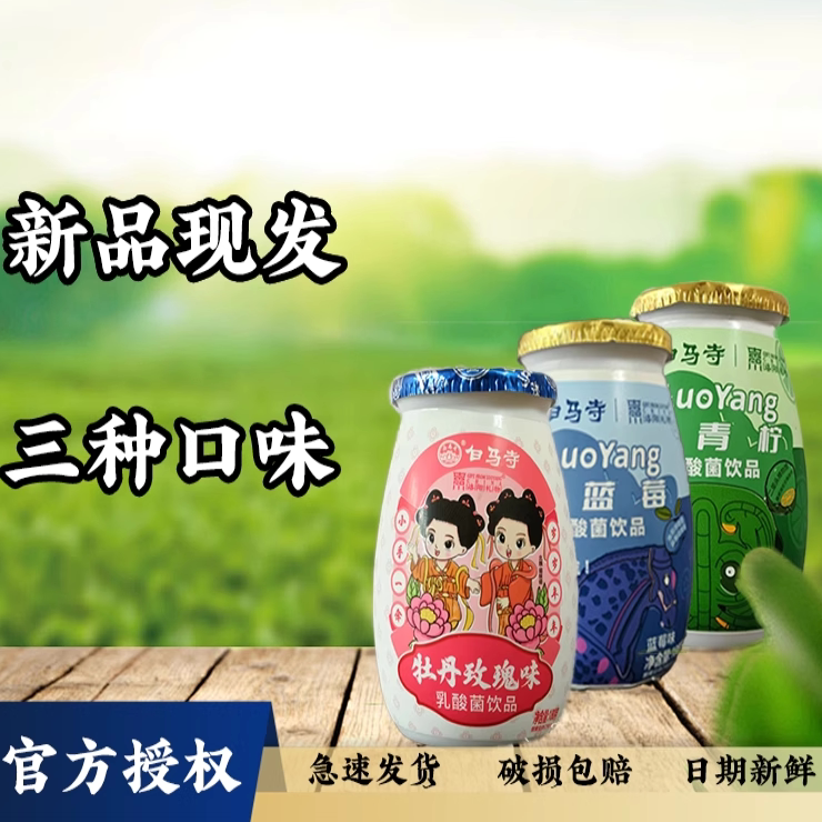 白马寺乳酸菌饮品180ml图片