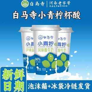 河南白马寺新口味小青柠杯装酸牛奶原味无蔗糖杯装低温酸奶160g