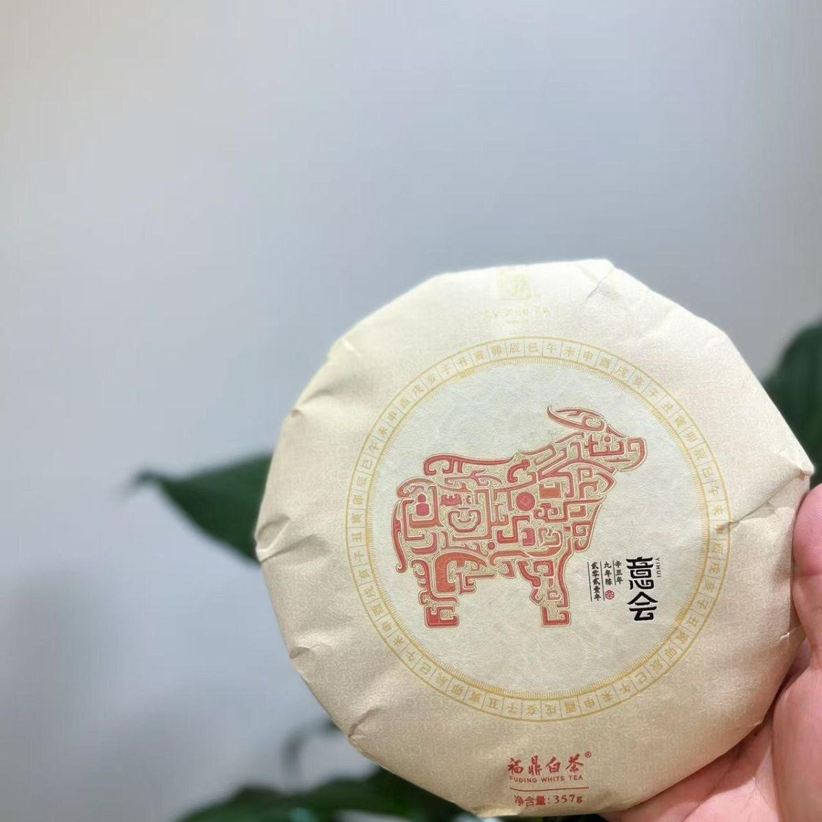 绿雪芽牛年意会福鼎白茶陈年2012年白牡丹寿眉香气牛年意会饼357g