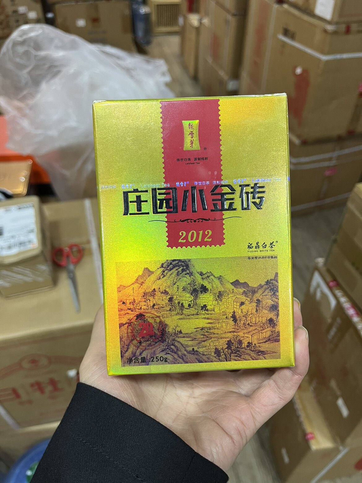 2012年福鼎白茶老寿眉绿雪芽