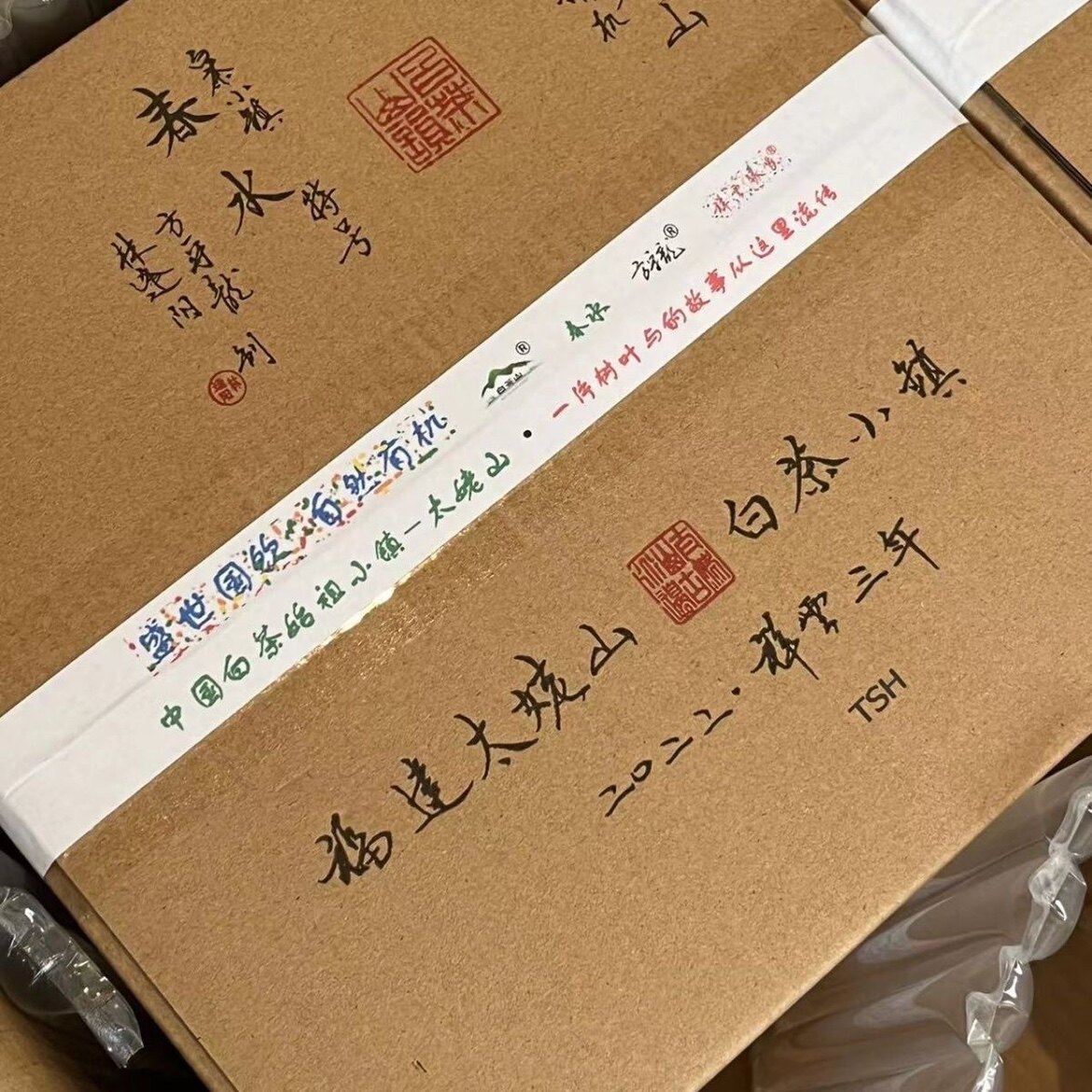 方守龙 2022春水特级 白牡丹 有机简装 分装体验装春季