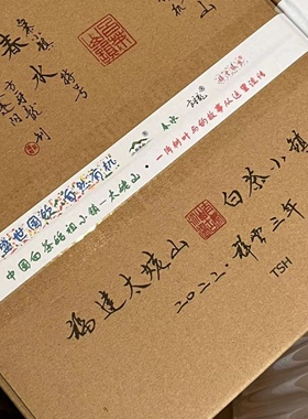 方守龙 2022春水特级 白牡丹 有机简装 分装体验装春季
