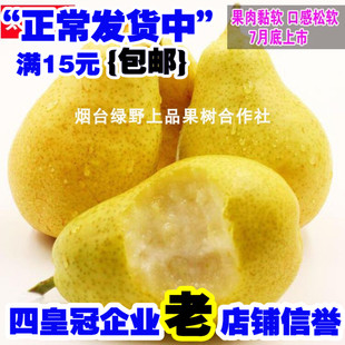 太婆梨树苗香软茄梨子香蕉梨葫芦梨软大头梨当年结果南方北方种植