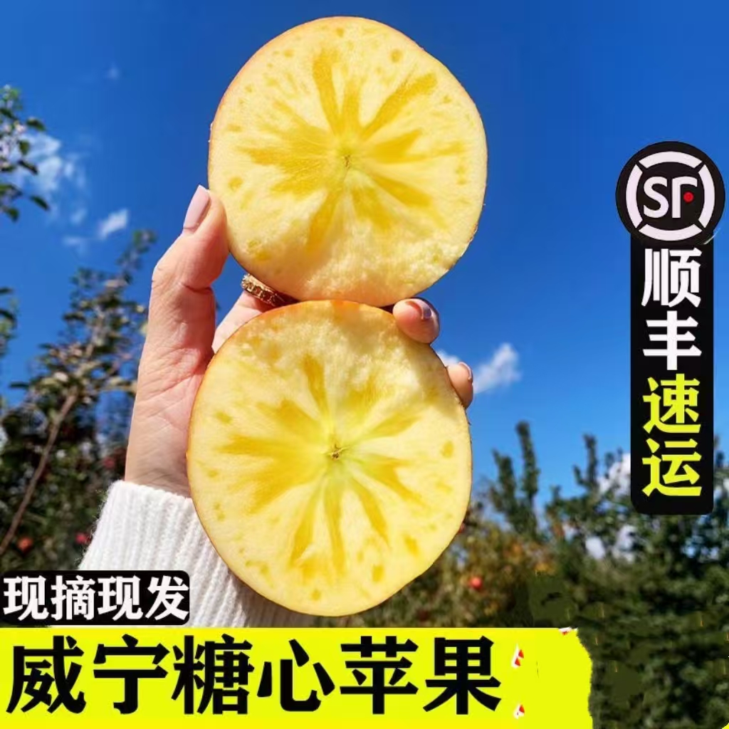 正宗贵州威宁丑苹果高原红富士冰糖心苹果毕节特产新鲜水果顺丰