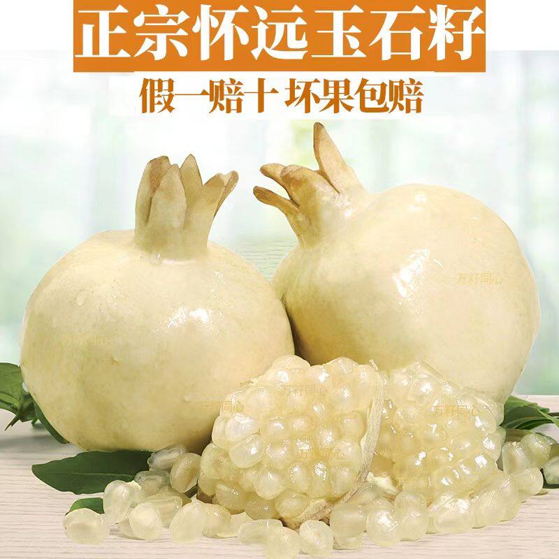 正宗怀远白石榴三白石榴 白花白皮玉石子纯白玉石榴滋补水果