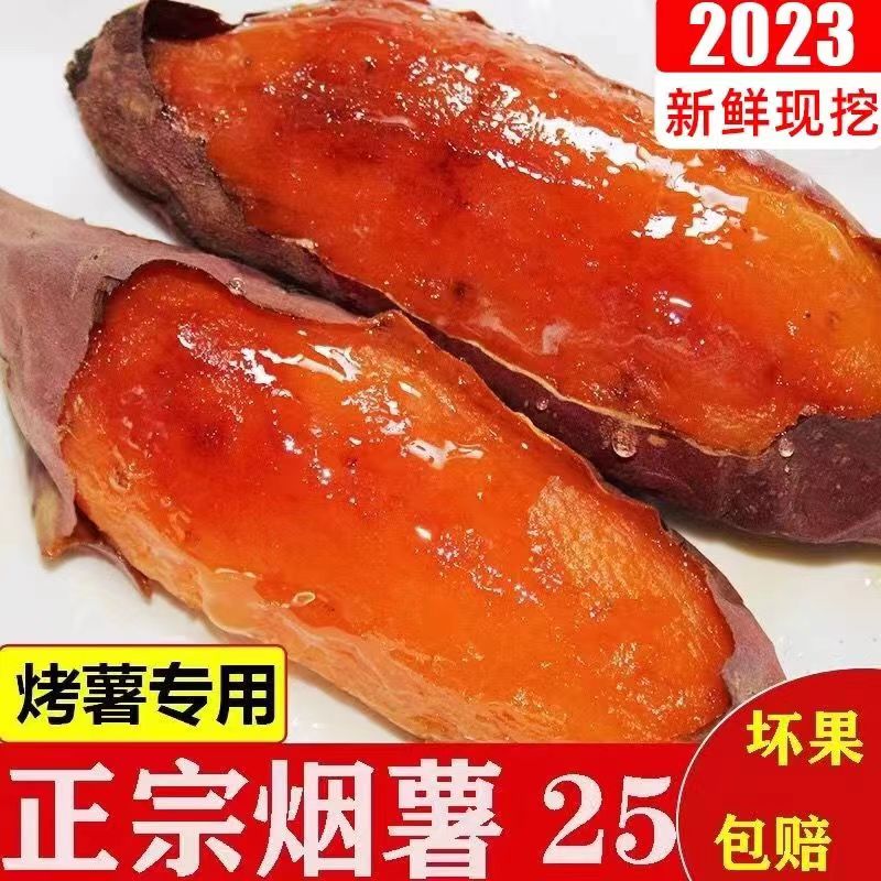 中国山东烟台市烟薯25号烟台农科院蜜薯糖心红薯红著地瓜