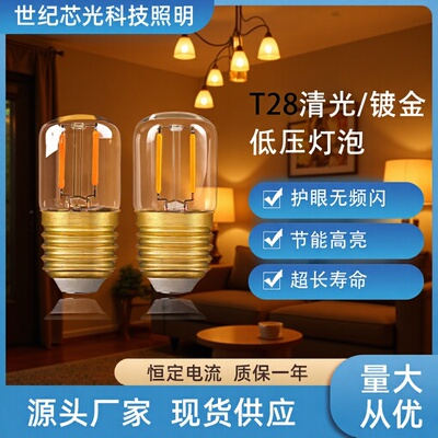 T28镀金低压灯泡DC12V24V