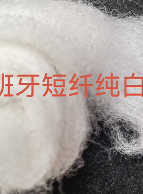 西班牙短纤  纯白色  打底毛  羊毛毡戳戳乐  高品质  易沾化 66s