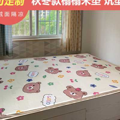 定做榻榻米垫薄款海绵床垫卧室炕垫子防滑褥垫北方农村大炕铺垫被