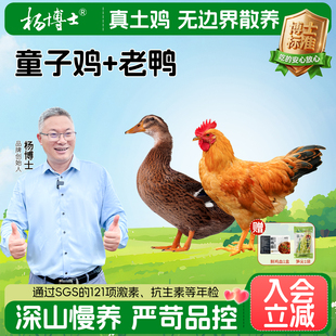 杨博士童子鸡溪水河鸭老鸭组合新鲜整只土鸡土鸭生鲜食材