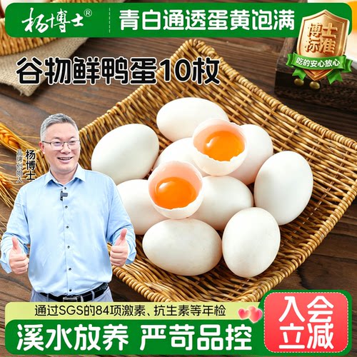 【直播间】杨博士新鲜鲜鸭蛋溪水自然放养河鸭蛋正宗农家散养鸭蛋