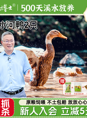 杨博士老鸭皖南农家散养鸭子正宗老鸭土鸭现抓现杀麻鸭新鲜鸭肉