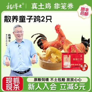 楊博士土雞農(nóng)家散養(yǎng)原糧飼喂童子雞現(xiàn)抓新鮮整只 2只 禮盒裝