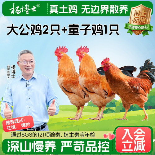 杨博士散养大公鸡童子鸡组合儿童清蒸红烧套餐整只鸡新鲜土鸡