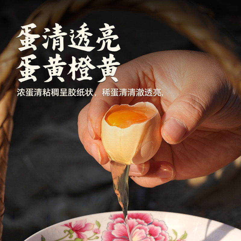 【直播间专属】杨博士散养土鸡蛋皖南深山正宗土鸡蛋不土包赔