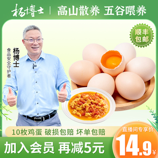 鸡蛋新鲜土鸡蛋高山散养谷物正宗鸡蛋整箱10枚 杨博士直播专享