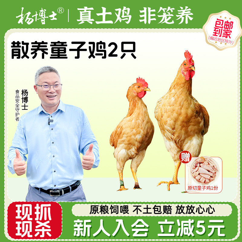 杨博士土鸡童子鸡深山散养原粮饲喂新鲜整鸡现抓现杀走地鸡,水产肉类/新鲜蔬果/熟食,整鸡/整鸡制品,淘宝优惠券,粉丝福利购,淘宝优惠卷