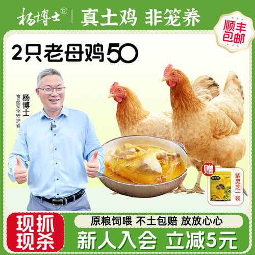 杨博士皖南农家散养土鸡