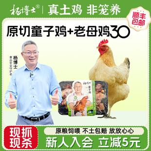 【直播间专享】杨博士土鸡老母鸡深山散养切块童子鸡