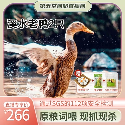 杨博士皖南农家散养老鸭