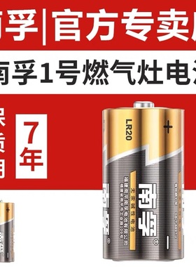 南孚LR20碱性1号电池燃气灶热水器煤气灶天然气灶1.5V一号干电池