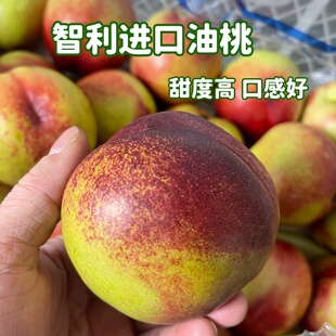 脆甜纯甜无酸智利白油桃脆甜多汁油桃子新鲜水果