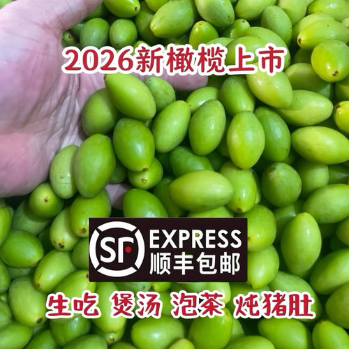 顺丰包邮2026新青橄榄上市老树新鲜青果喉咙疼生吃煲汤潮汕炖猪肚