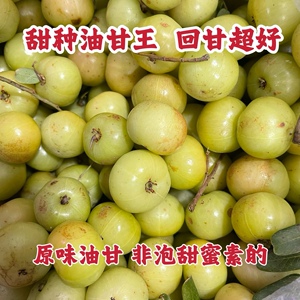 潮汕甜种赤皮油甘王油甘果生吃推荐天然回甘
