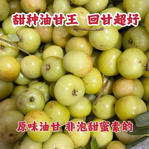 新鲜潮汕甜种油柑果油甘果余甘果牛甘果孕妈缓解孕吐榨汁生吃柿饼