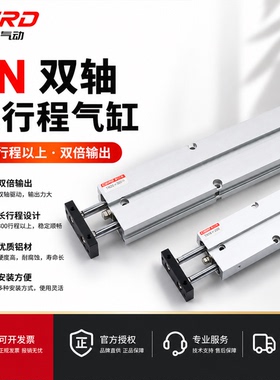 新奕长行程双轴双杆气缸加长型TN10/16/20/25/32-200X300X400-S