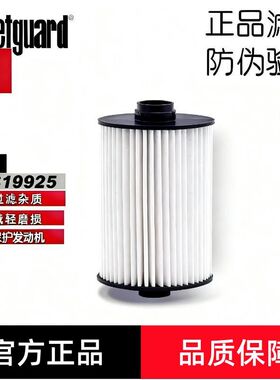 弗列加FS19925柴滤康明斯2.8柴滤拓陆者蒙派克风景图雅诺福田