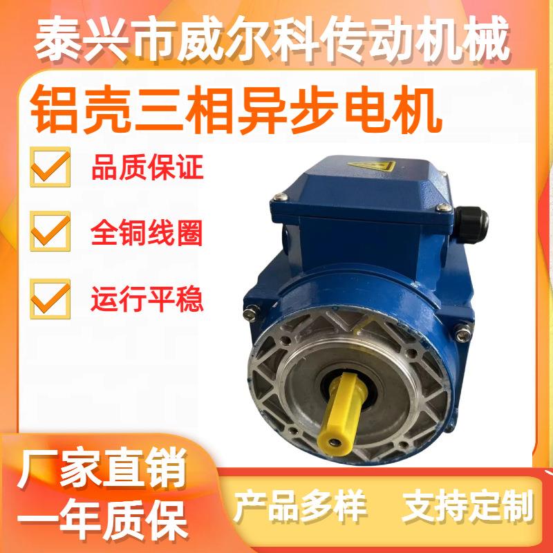 YEJ系列电磁制动三相异步电动机380V全铜刹车电机