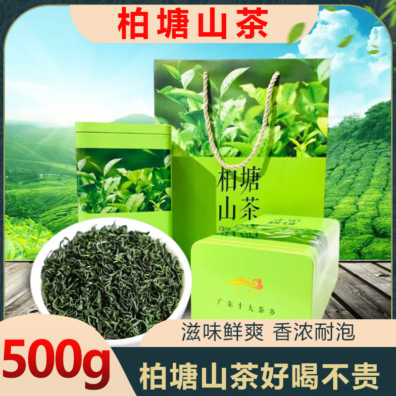 2026明前绿茶新茶惠州博罗柏塘山茶客家特产山茶手工浓香炒茶500g