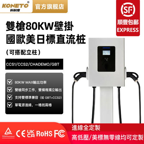 双模块双枪80KW国欧美日标直流桩
