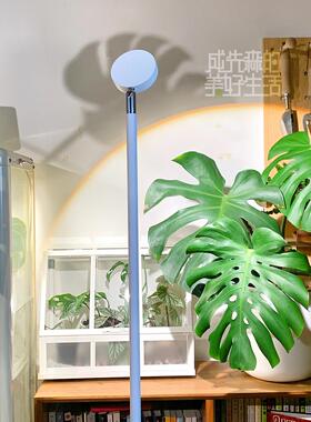 白色cob植物补光灯｜10W热植三角梅多肉全光谱生长灯led植物灯