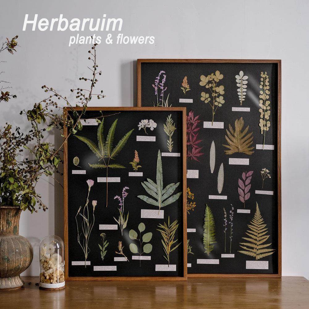 胡桃木实木相框干花植物标本装饰画花卉样板间售楼部挂画复古简约,家居饰品,标本类装饰画,淘宝优惠券,粉丝福利购,淘宝优惠卷