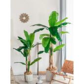 斯堪 纳维亚大型落地模拟绿色植物香蕉树彷生假植物家居室内盆景