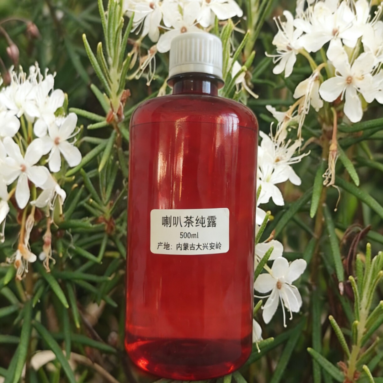 杜香叶喇叭茶精油纯露香粉香薰纯手工香牌非遗古法蒸馏代加工